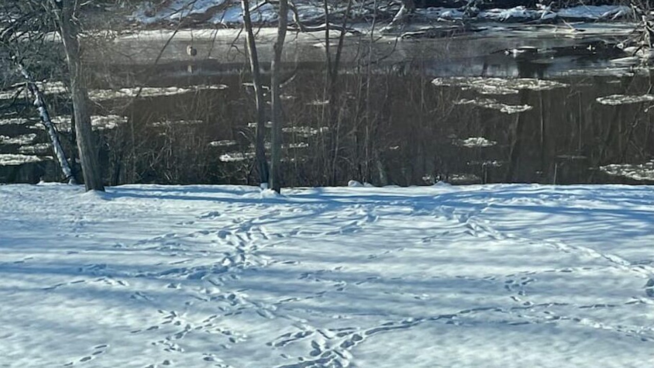 Photo of Others in Rockwood