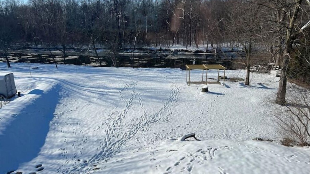 Photo of Others in Rockwood