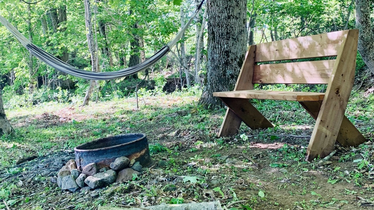 Photo of Outdoor in Onslow