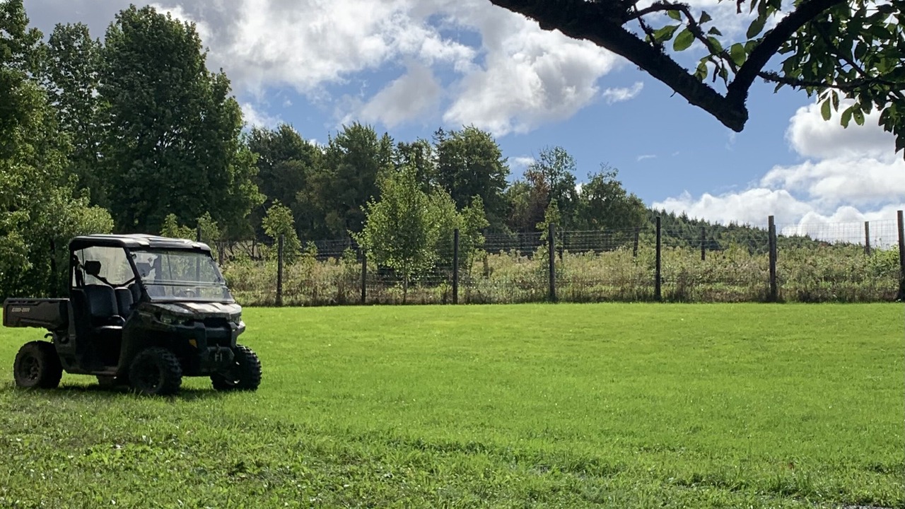 Photo of Outdoor in Onslow