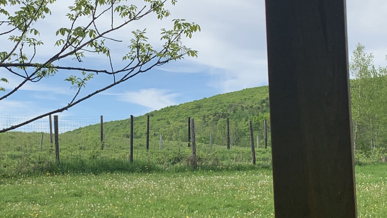 Photo of Outdoor in Onslow