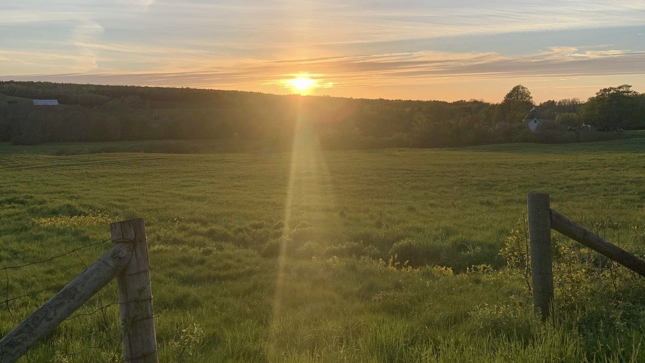Photo of Outdoor in Onslow