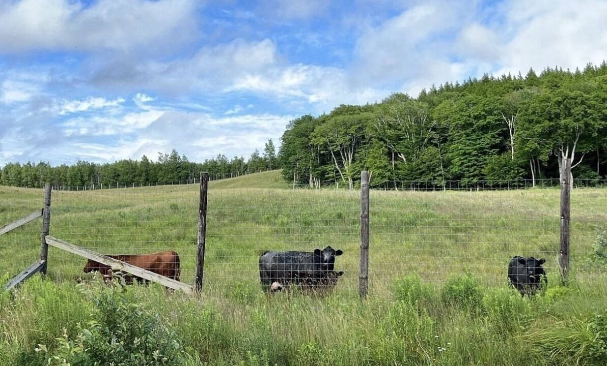 Photo of Outdoor in Onslow
