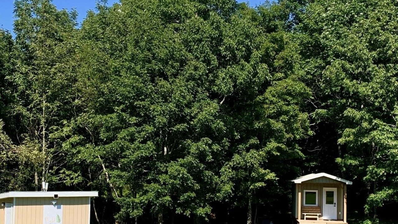 Photo of Outdoor in Onslow