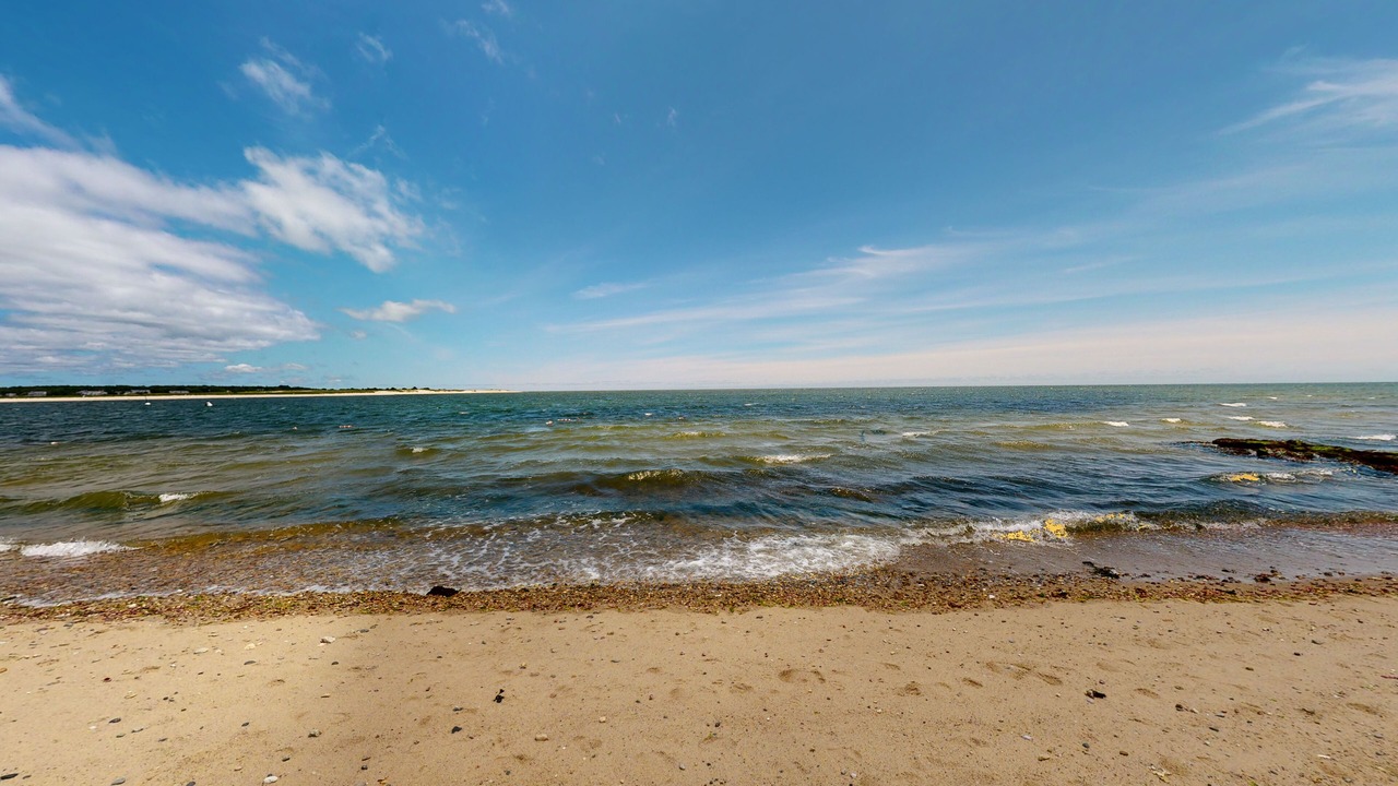 Photo of Others in Cotuit
