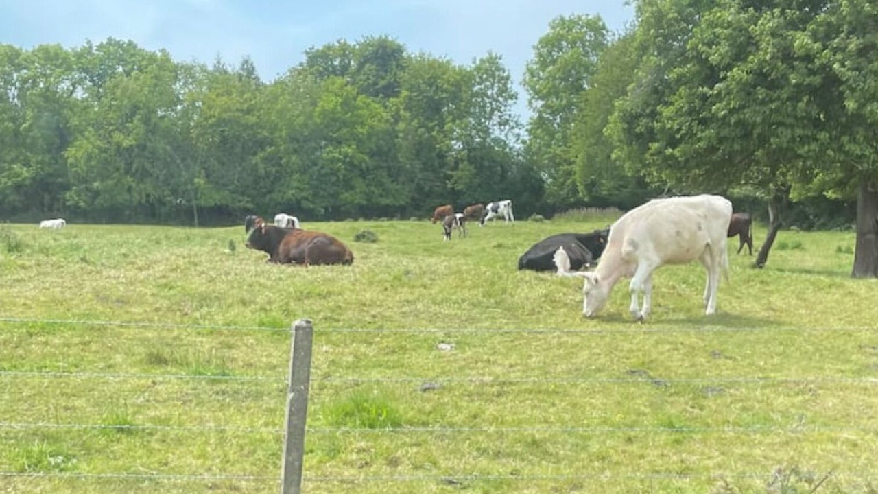 Photo of Others in Gonneville-sur-Mer