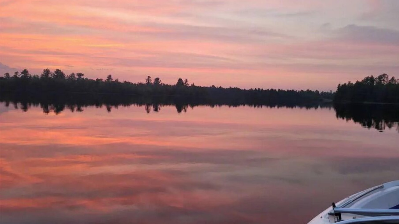 Photo of Others in West Arm