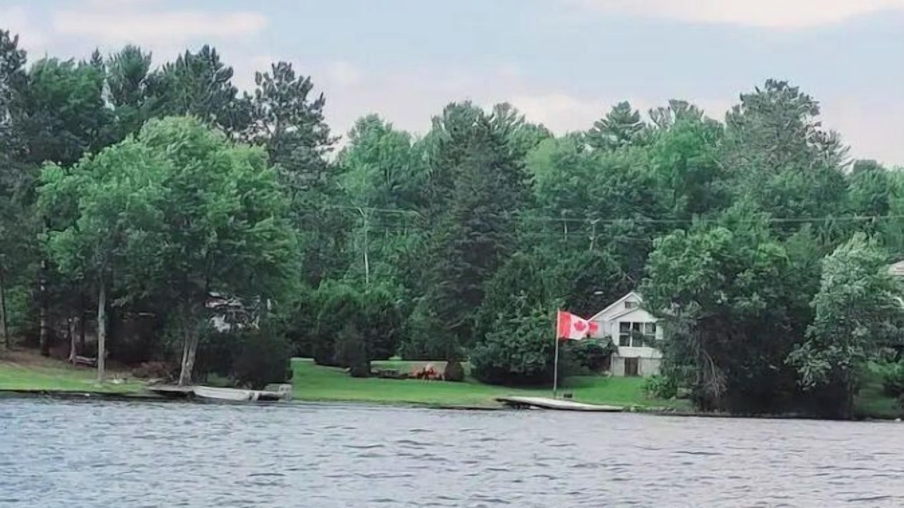 Photo of Outdoor in West Arm