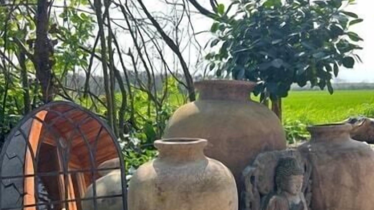 Photo of Outdoor in Beccles