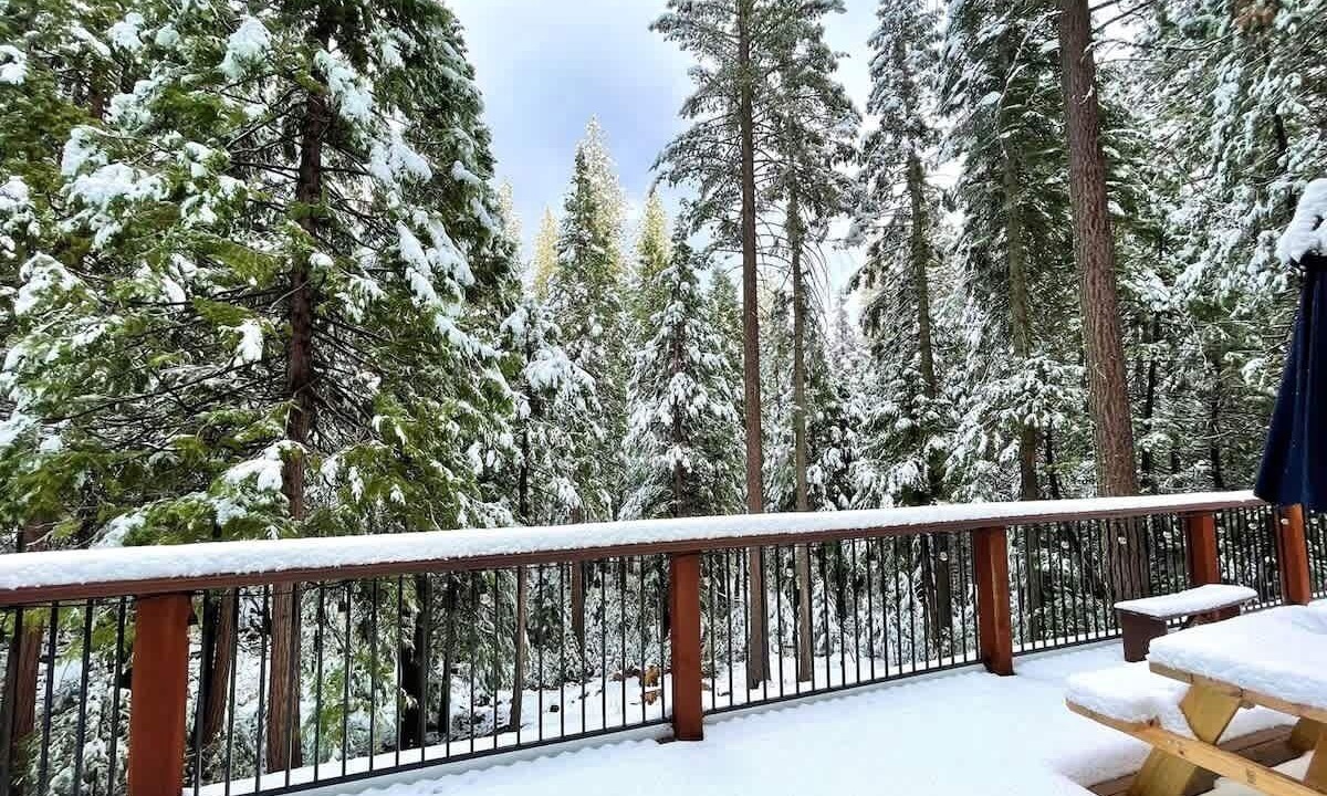 Photo of Others in Cold Springs