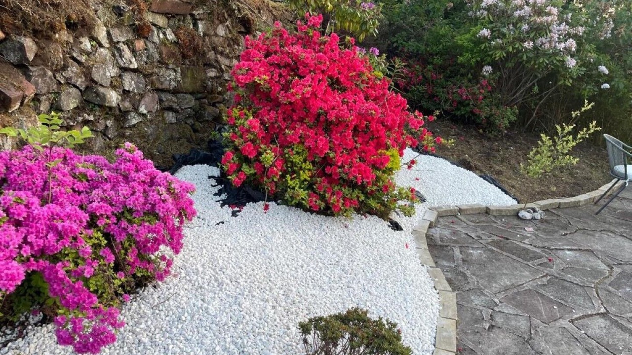 Photo of Outdoor in Langbank