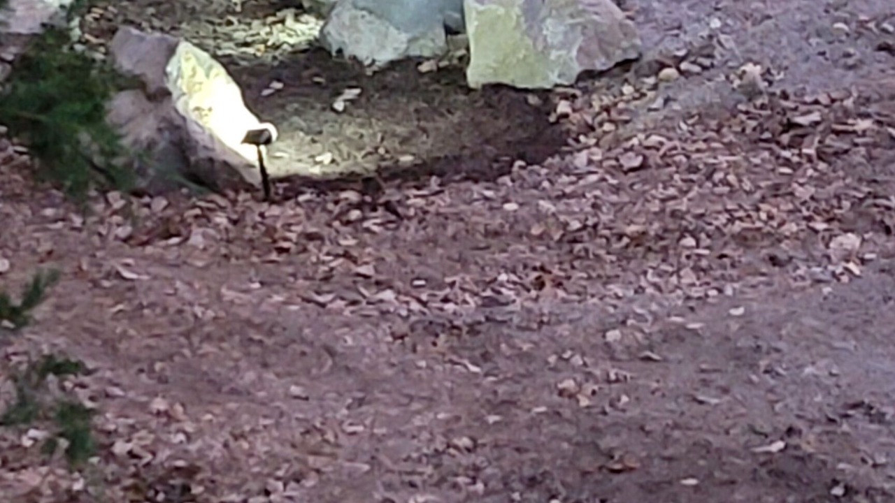 Photo of Others in Marshall
