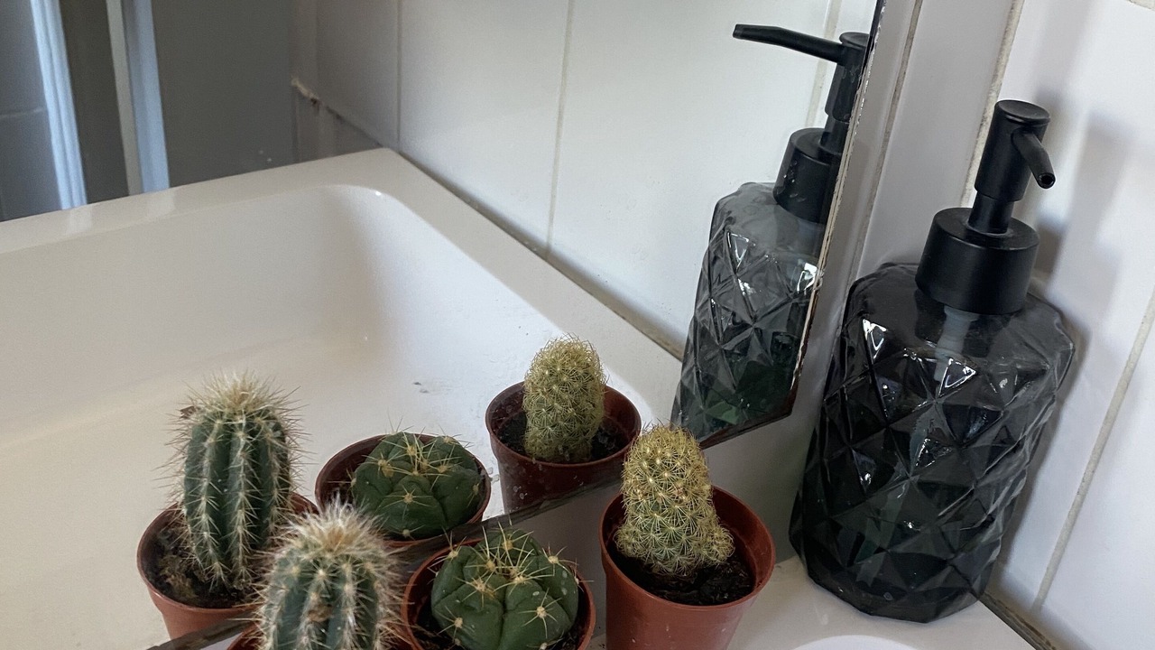 Photo of Others in Gare-Jouvenet