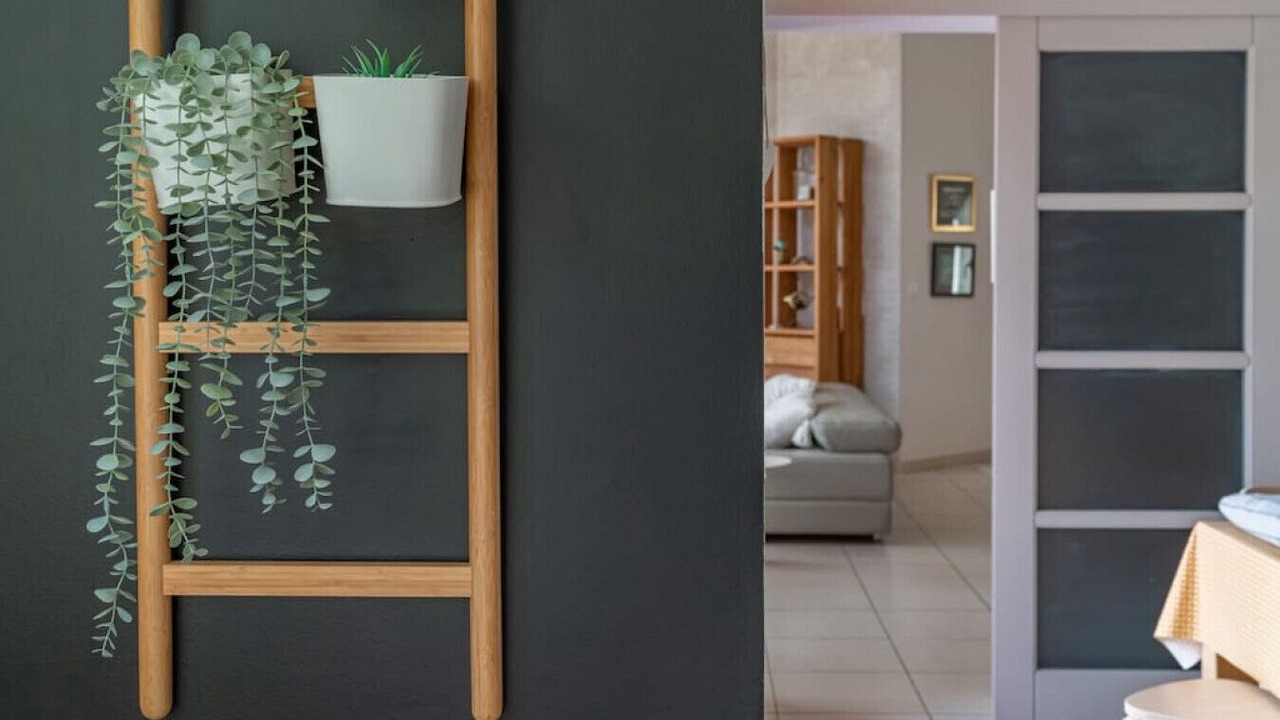 Photo of Others in Castelnau-le-Lez