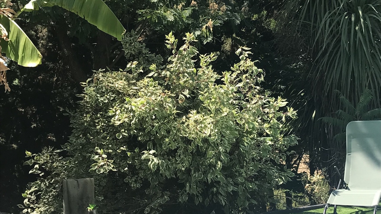 Photo of Outdoor in Launac