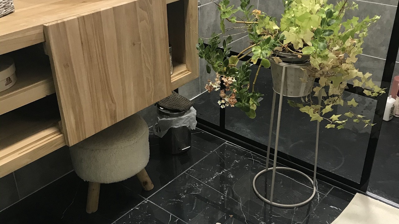 Photo of Bathroom in Launac