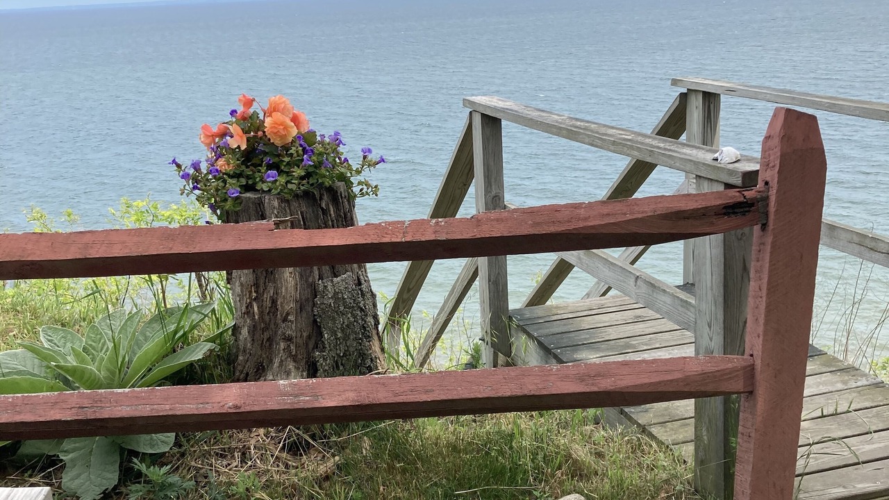 Photo of Outdoor in Wading River