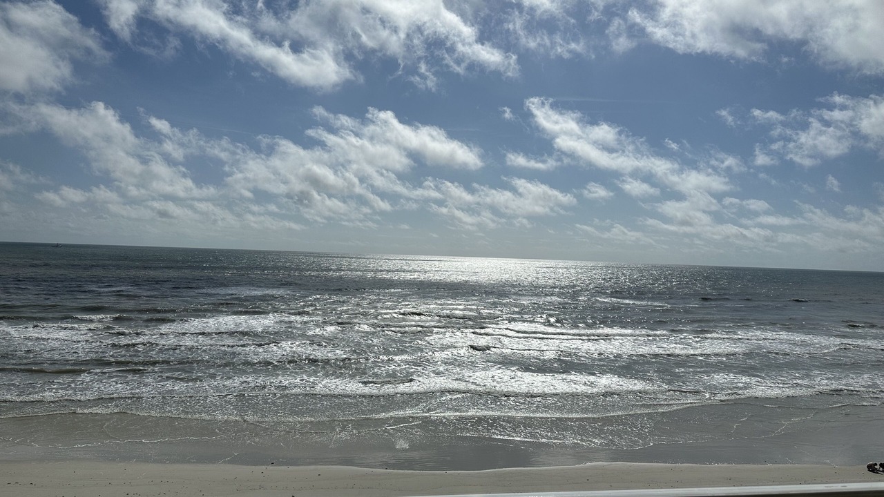 Photo of Others in Bostwick Park