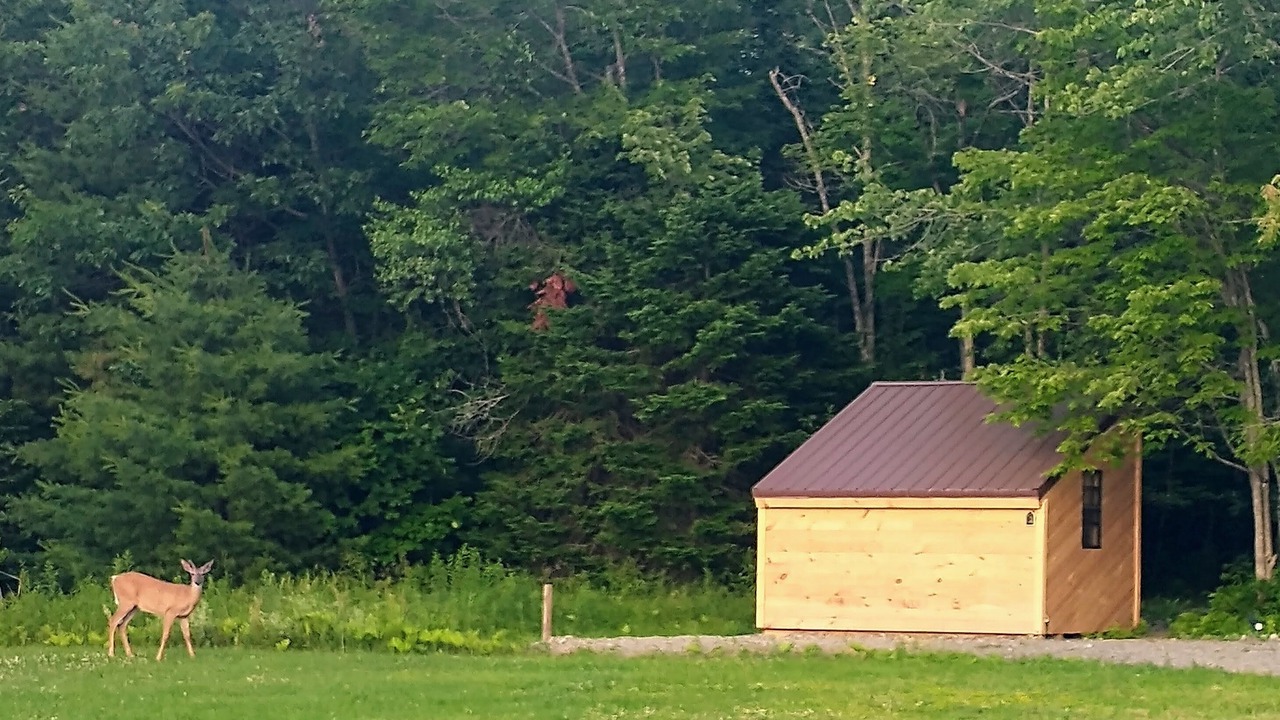 Photo of Outdoor in Lincoln