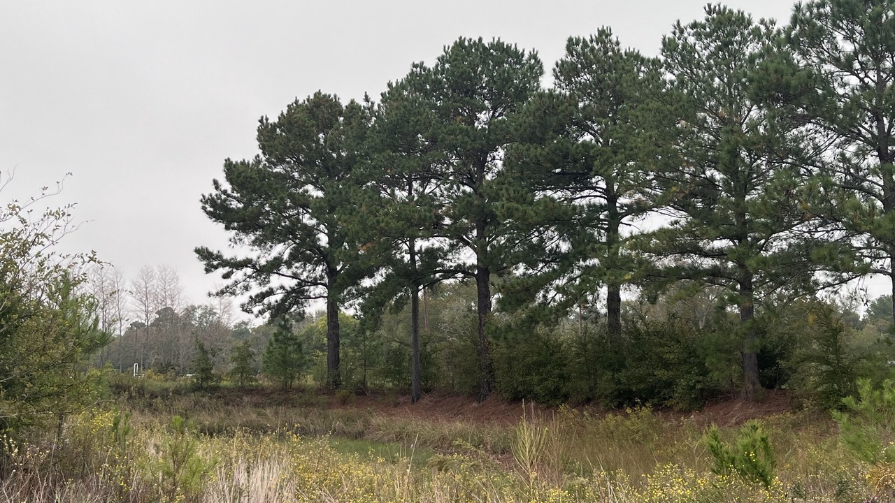 Photo of Others in Rusk