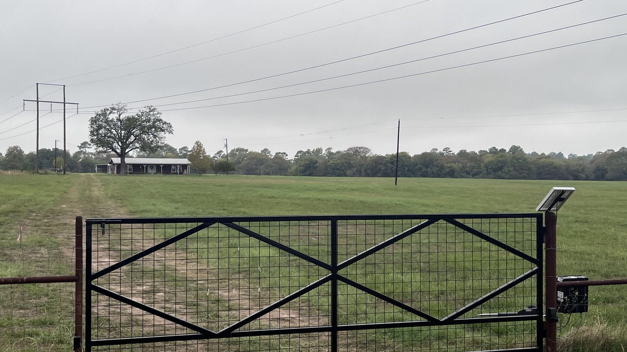 Photo of Others in Rusk