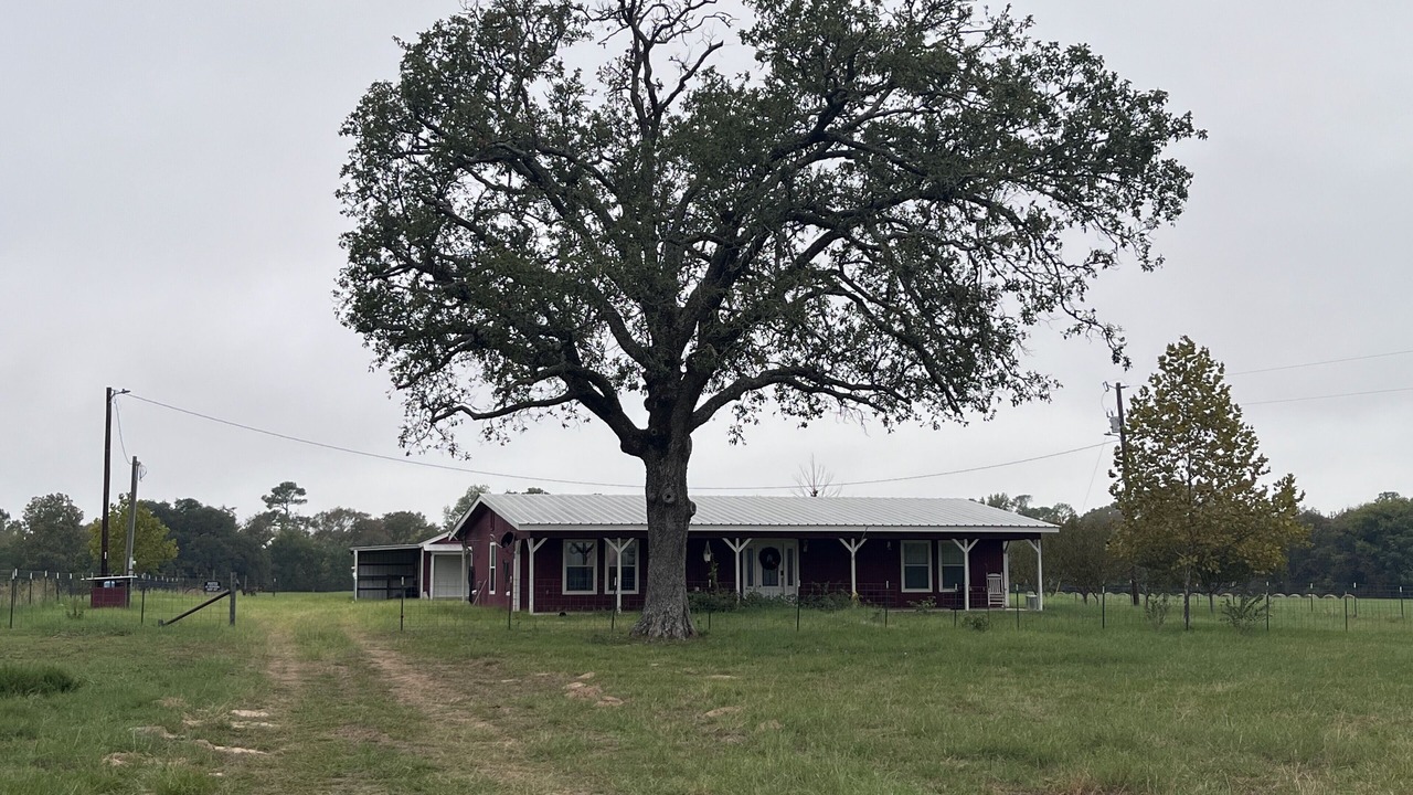 Photo of Outdoor in Rusk