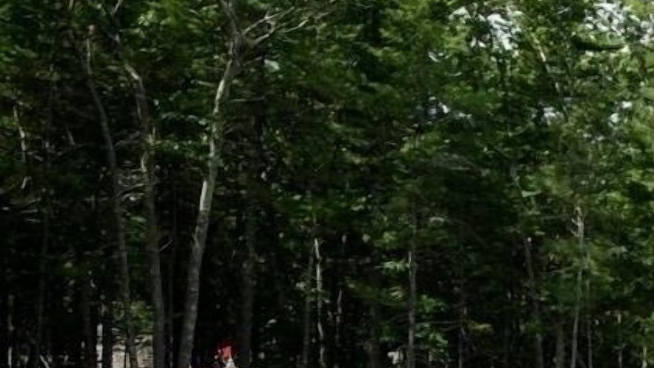 Photo of Others in Northwest Harbor