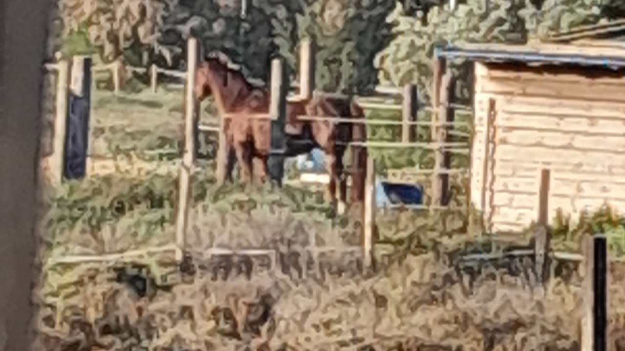 Photo of Others in Port-Saint-Louis-du-Rhone