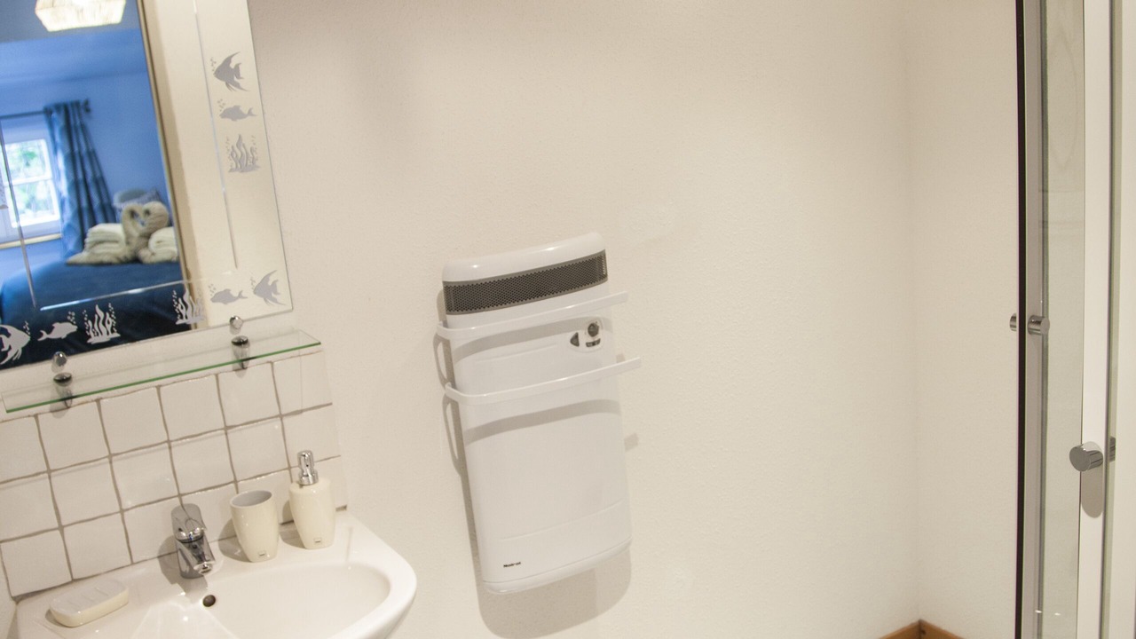 Photo of Bathroom in Kintzheim