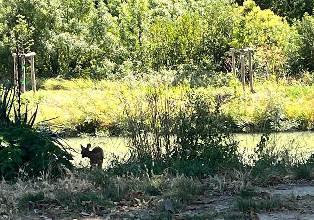 Photo of Others in Trebes