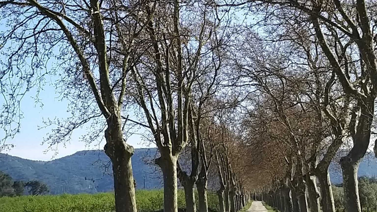 Photo of Outdoor in Trebes