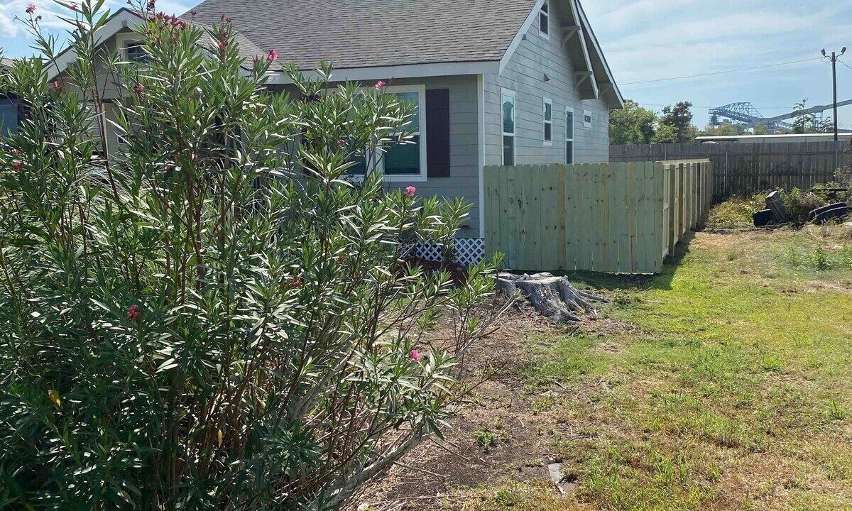 Photo of Outdoor in Saint Rose