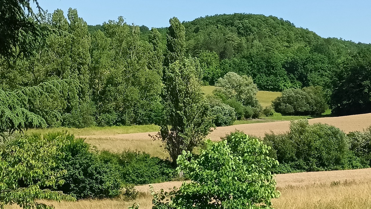 Photo of Outdoor in Tournon-d'Agenais