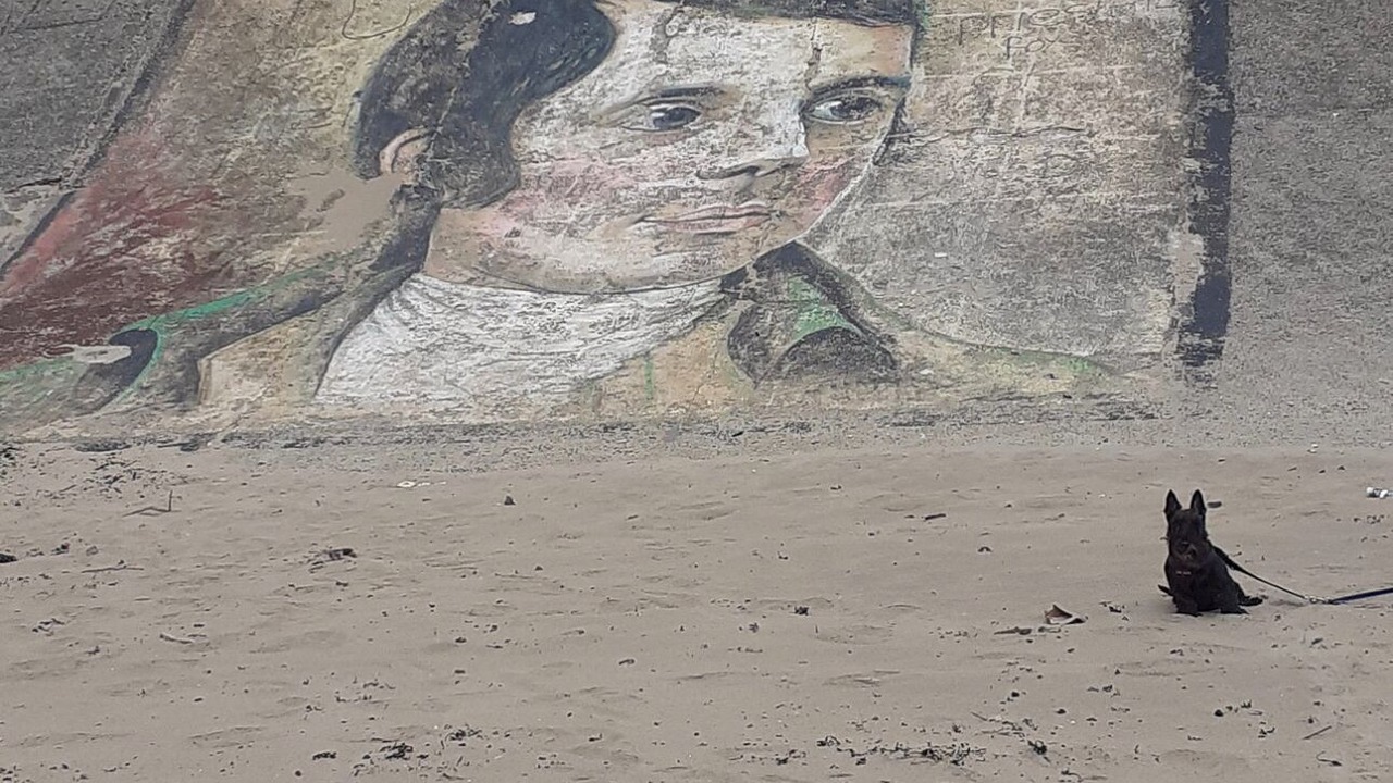 Photo of Others in Stevenston