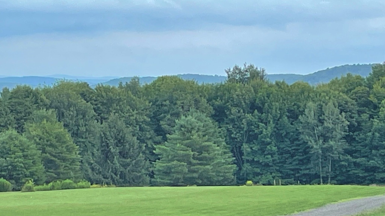 Photo of Others in Milford