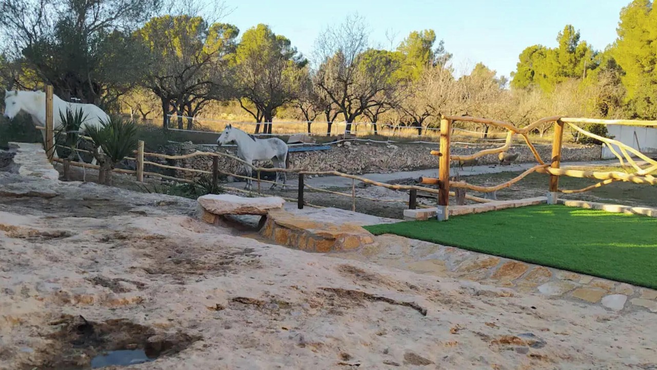 Photo of Others in Mora d'Ebre