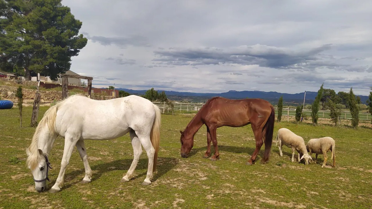 Photo of Others in Mora d'Ebre