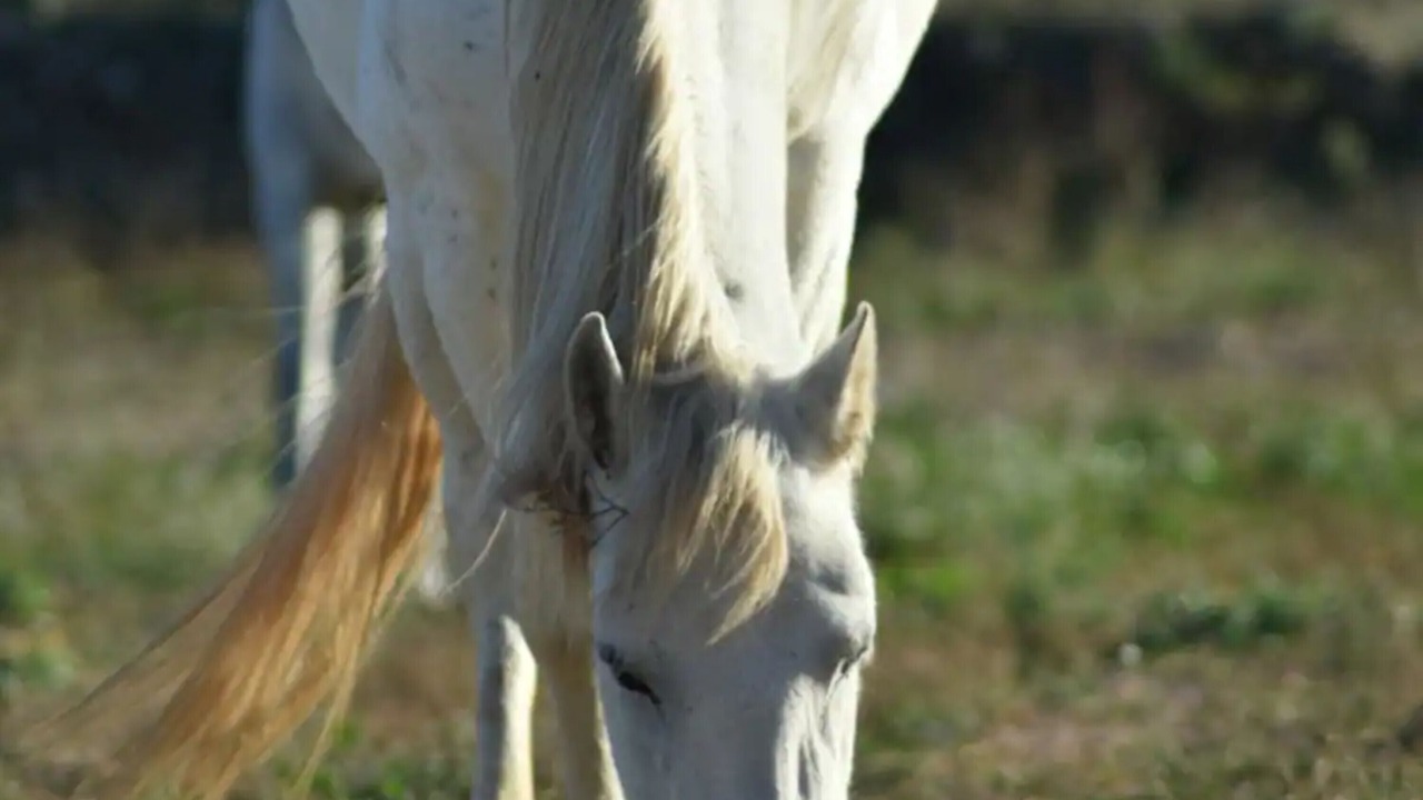 Photo of Others in Mora d'Ebre