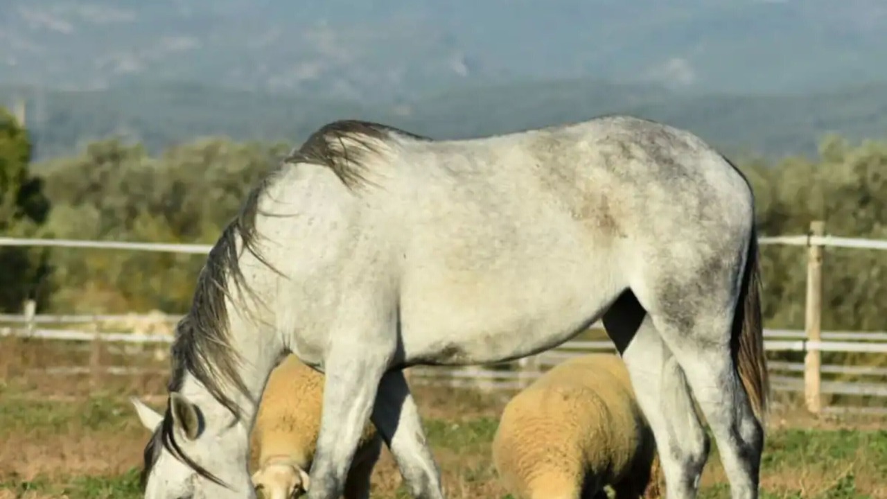Photo of Others in Mora d'Ebre