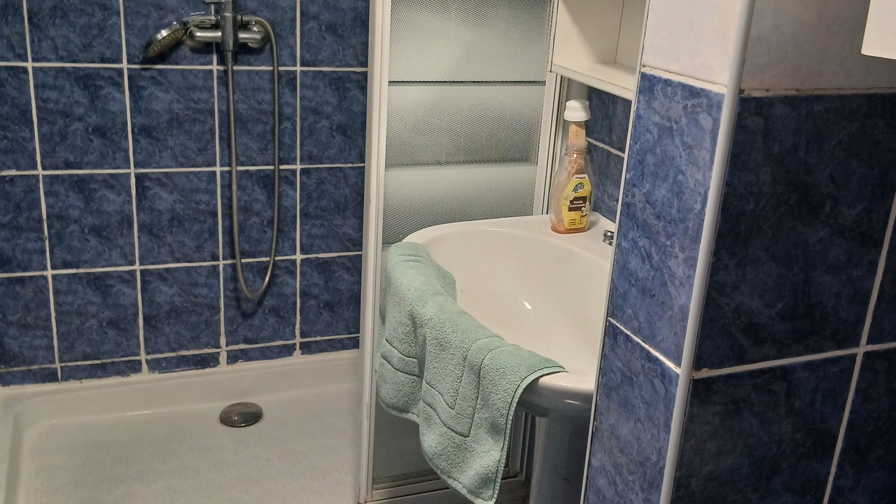 Photo of Bathroom in Brequerecque