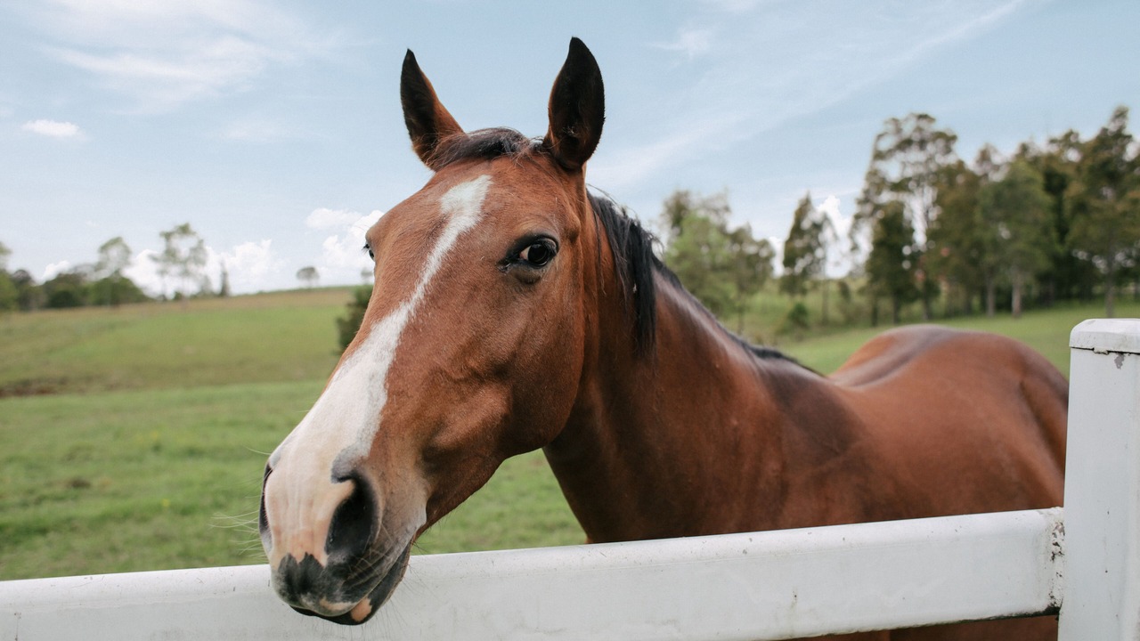 Photo of Outdoor in Stanhope