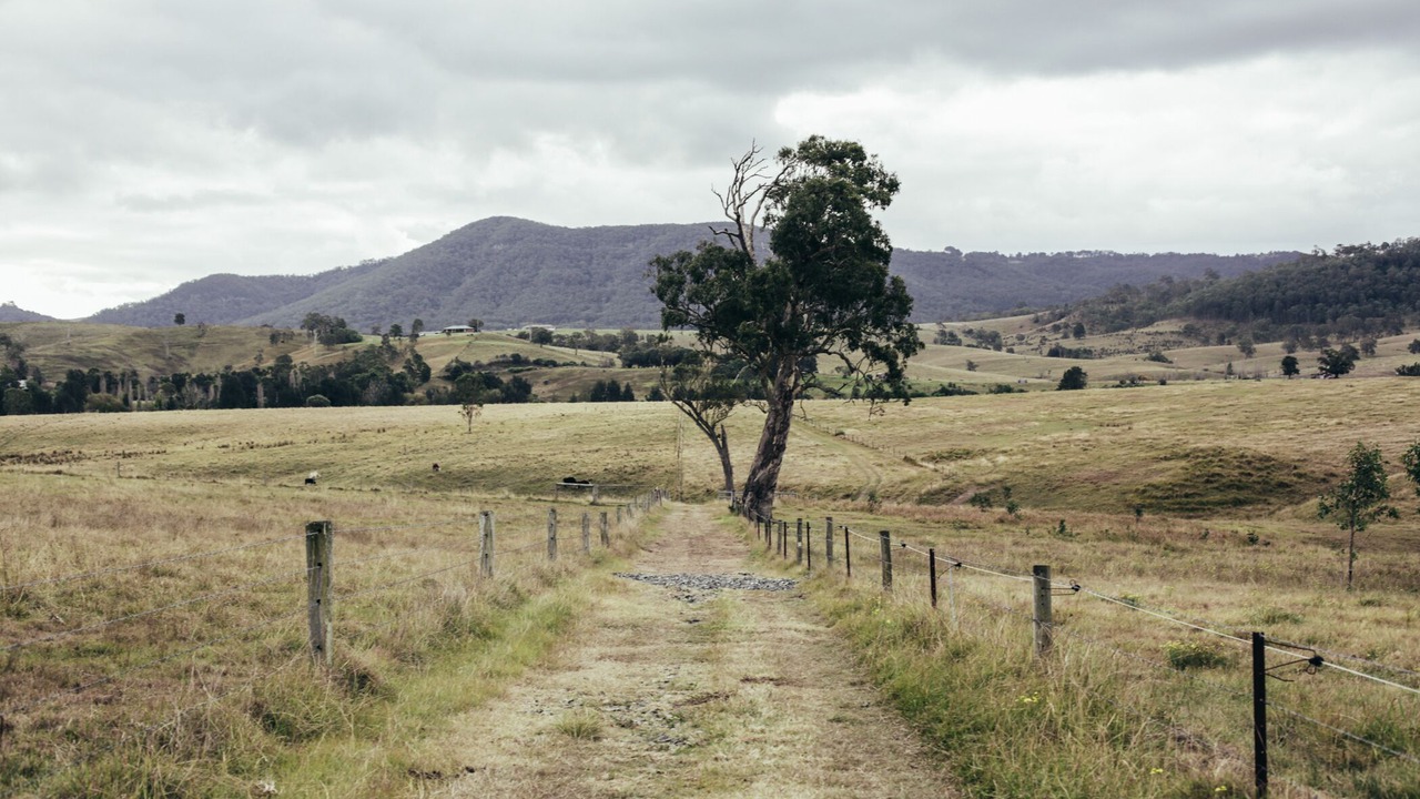 Photo of Others in Stanhope