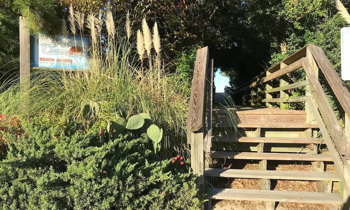 Photo of Outdoor in Willoughby Spit