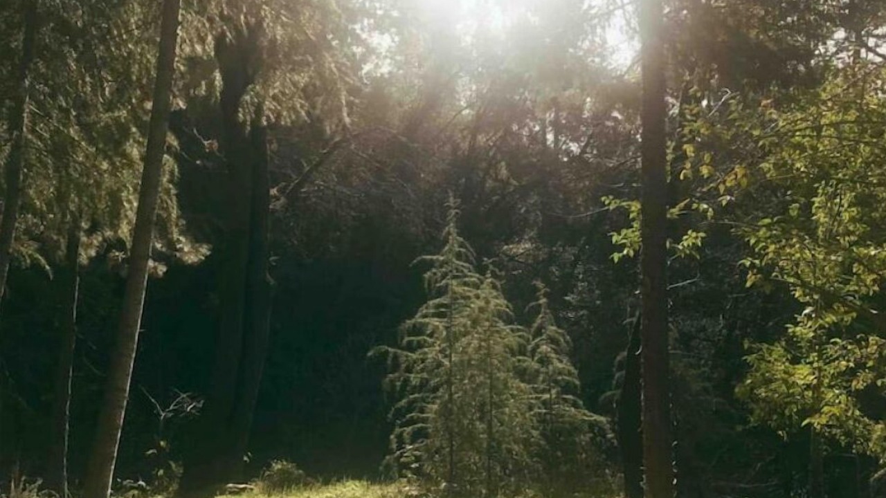 Photo of Outdoor in Placerville