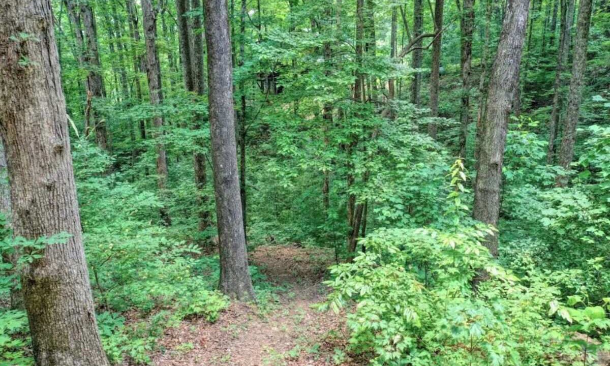 Photo of Others in Ellijay