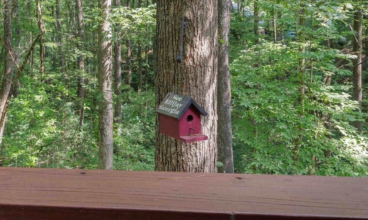 Photo of Others in Ellijay