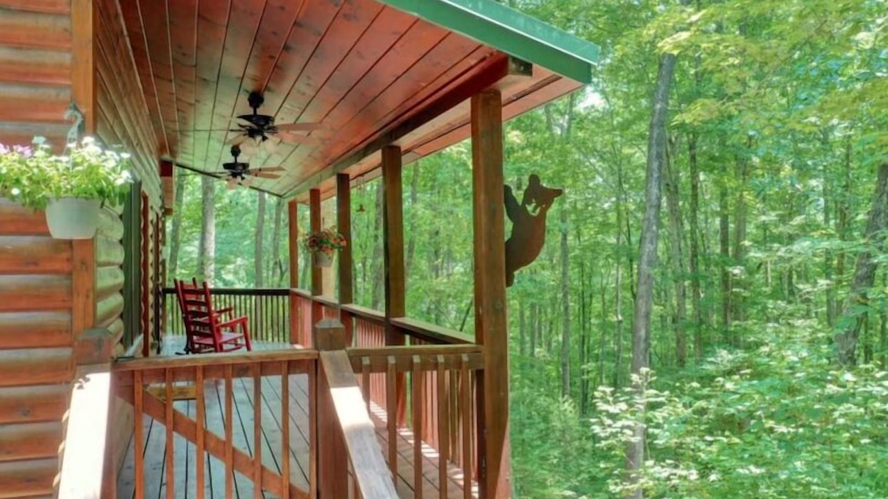 Photo of Others in Ellijay