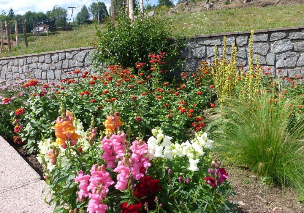 Photo of Outdoor in Bussang