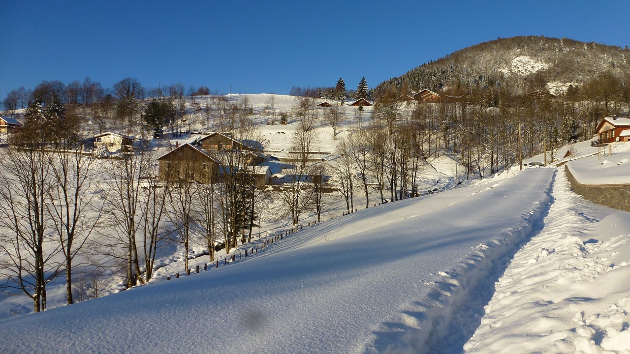 Photo of Others in Bussang