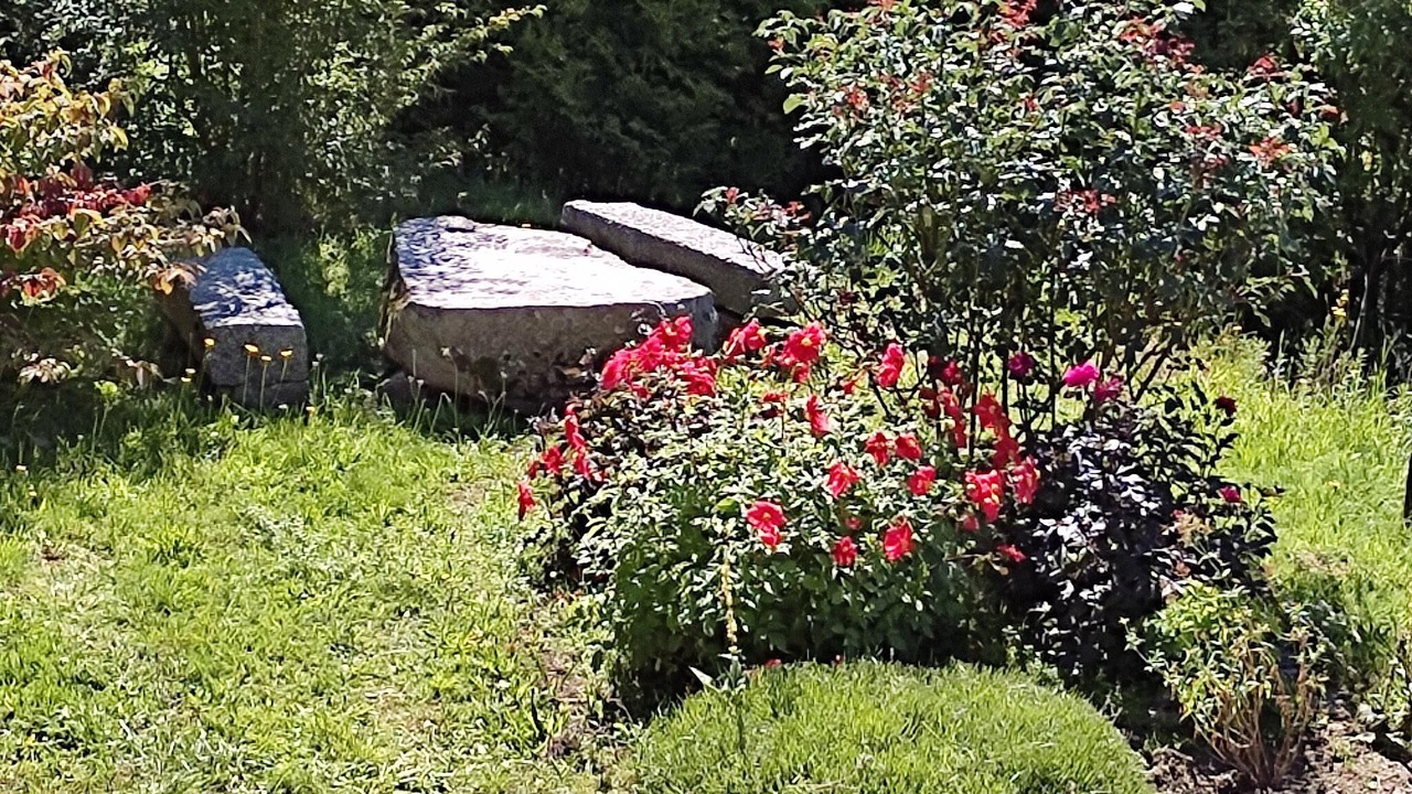 Photo of Outdoor in Bussang